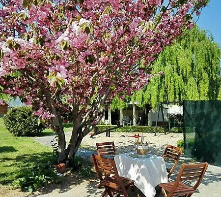 Hotel Montero